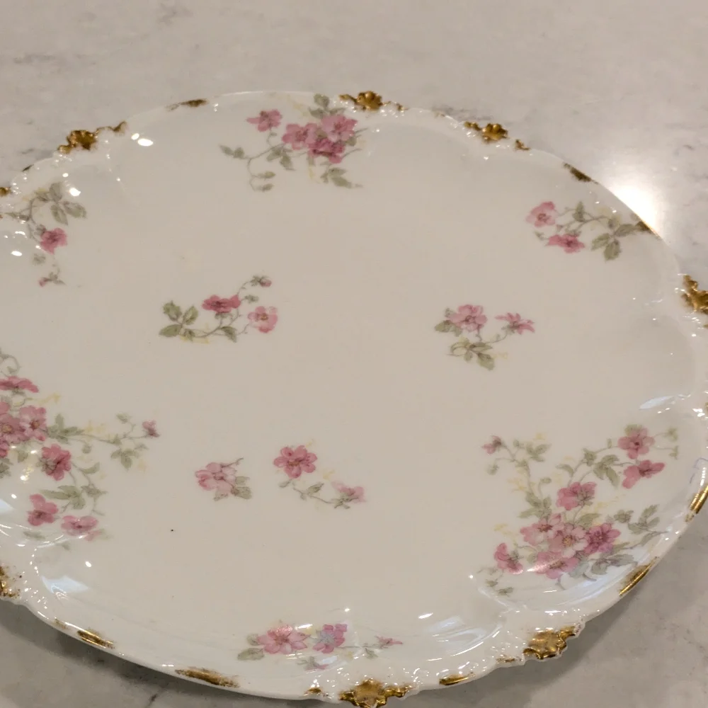 Limoges France Porcelain Serving Plate